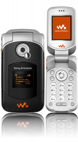W300 (3).jpg, 42 KB